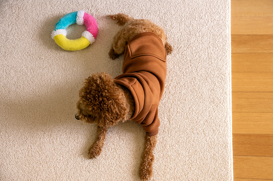 🧸 Winter Dog Hoodie Sweatshirt – Small Pet Fit in Brown