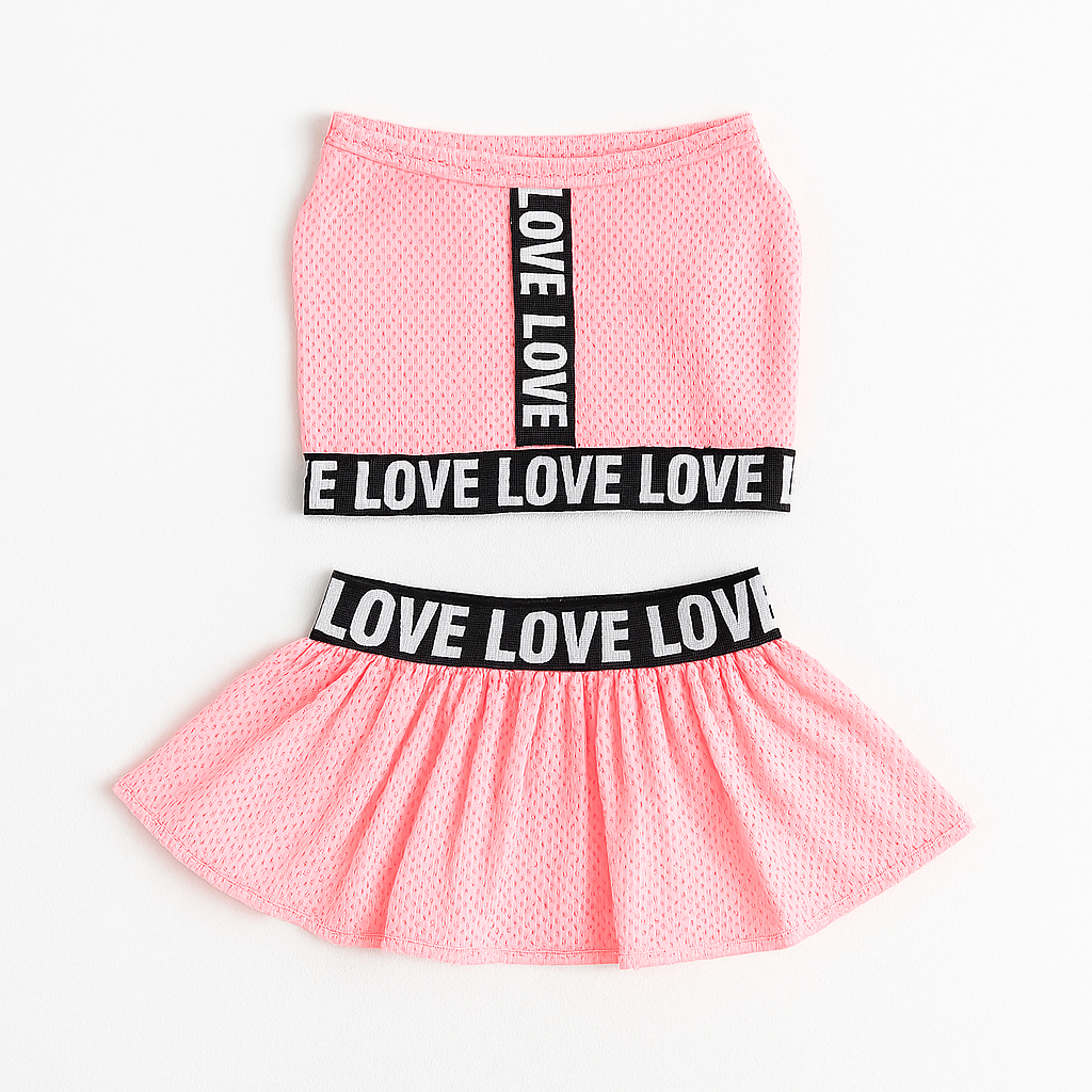 Dog Dresses – 2 piece Fashion Pet Clothes for Small Dogs & Cats | Birthday Outfit ✨🐶